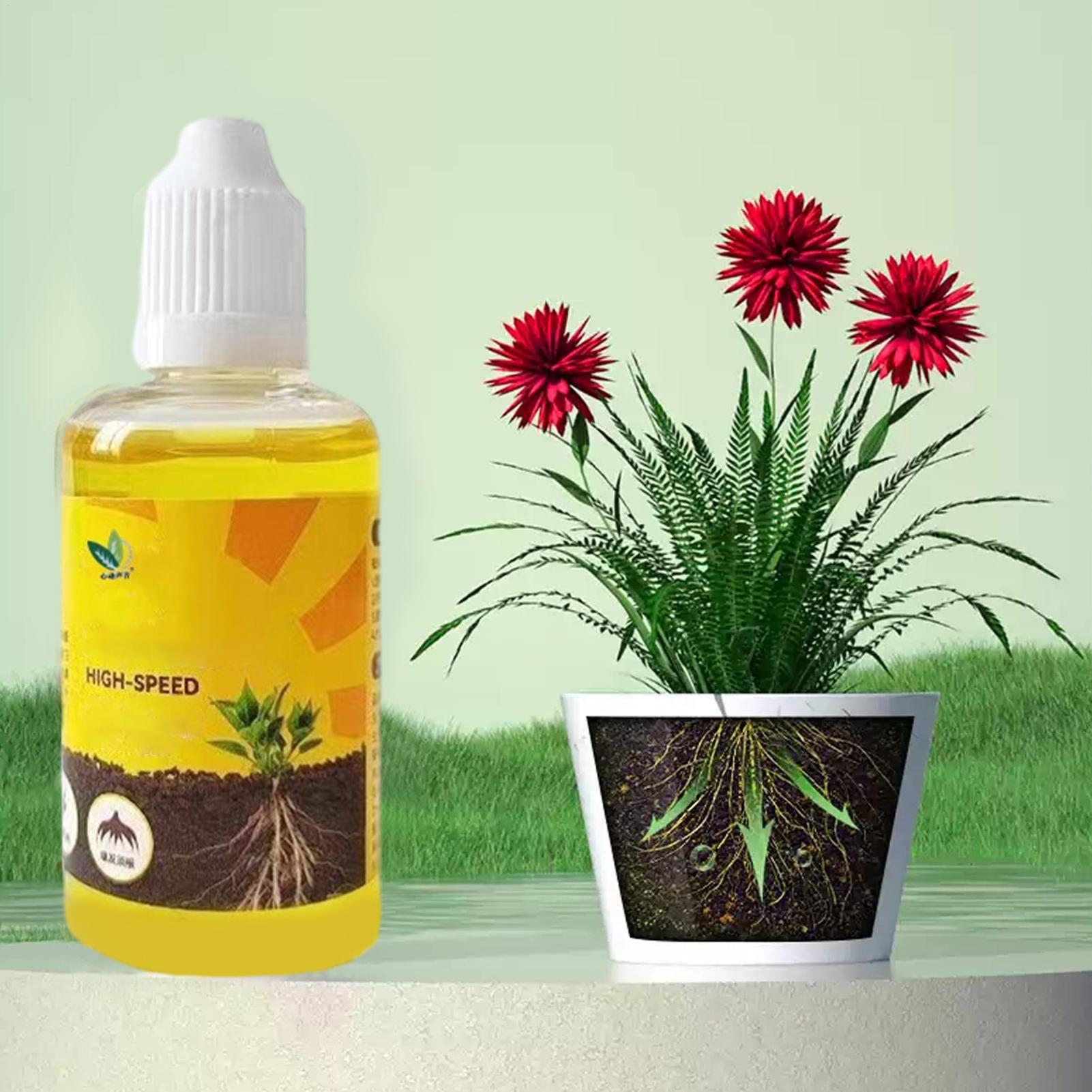 Root Stimulator Liquid - 식물 빠른 뿌리 성장 솔루션 50ml