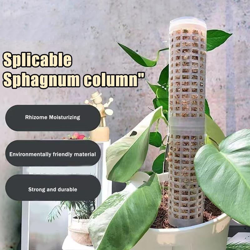 Sphagnum Moss Dry - 6개입 모스폴 플라스틱 식물 지지대 실내