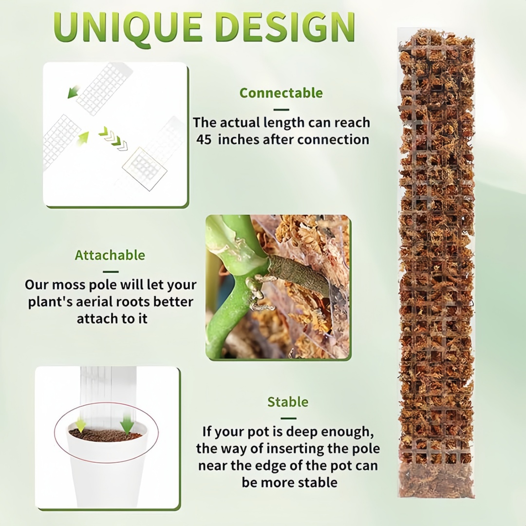 이끼 극 플라스틱 식물 스탠드 실내 등산 식물 가디언  - Sphagnum Moss Dry 리뷰 및 가격