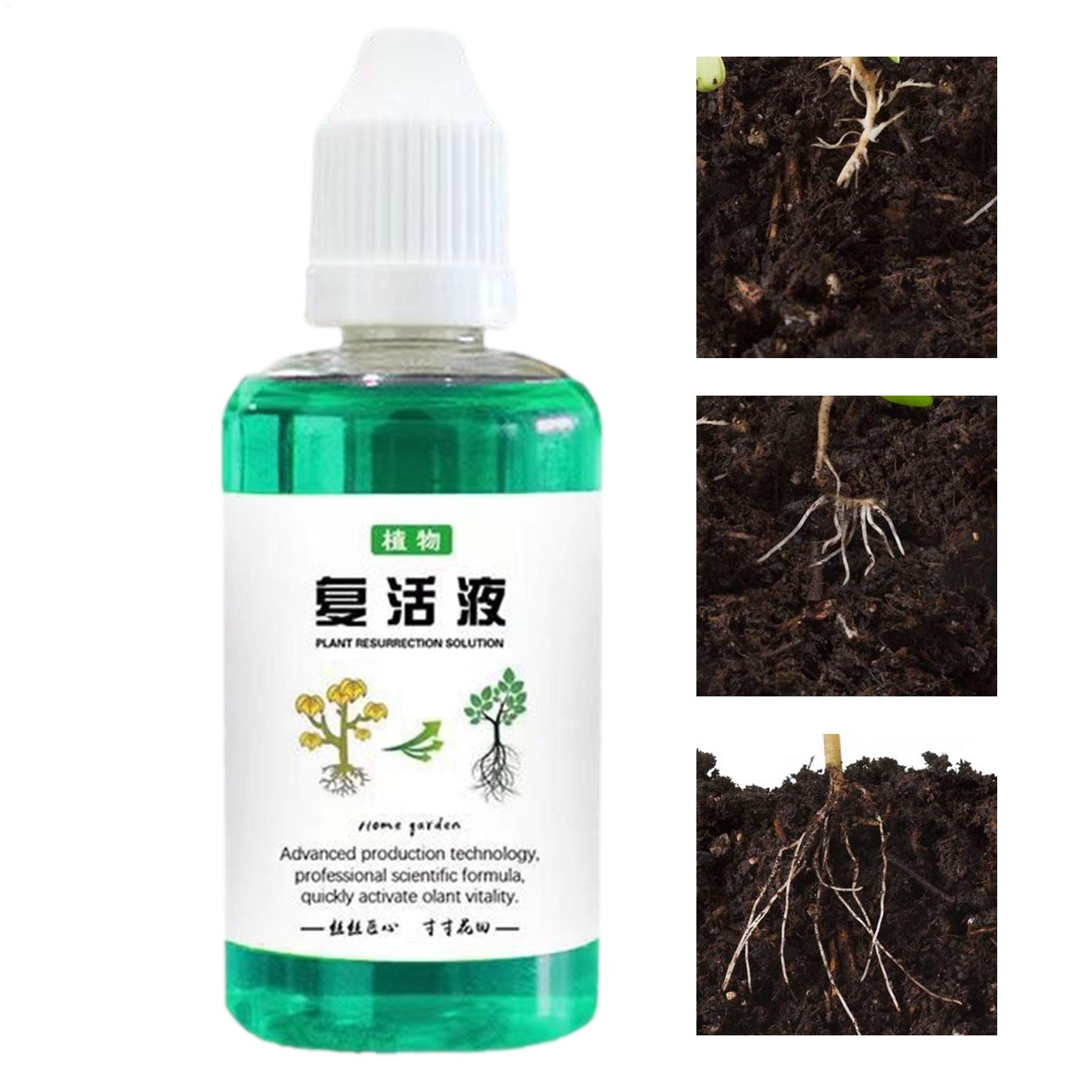 식물용 뿌리 자극제 50ml 식물 성장 촉진제 다육 식 - Root Stimulator Liquid 리뷰 및 가격