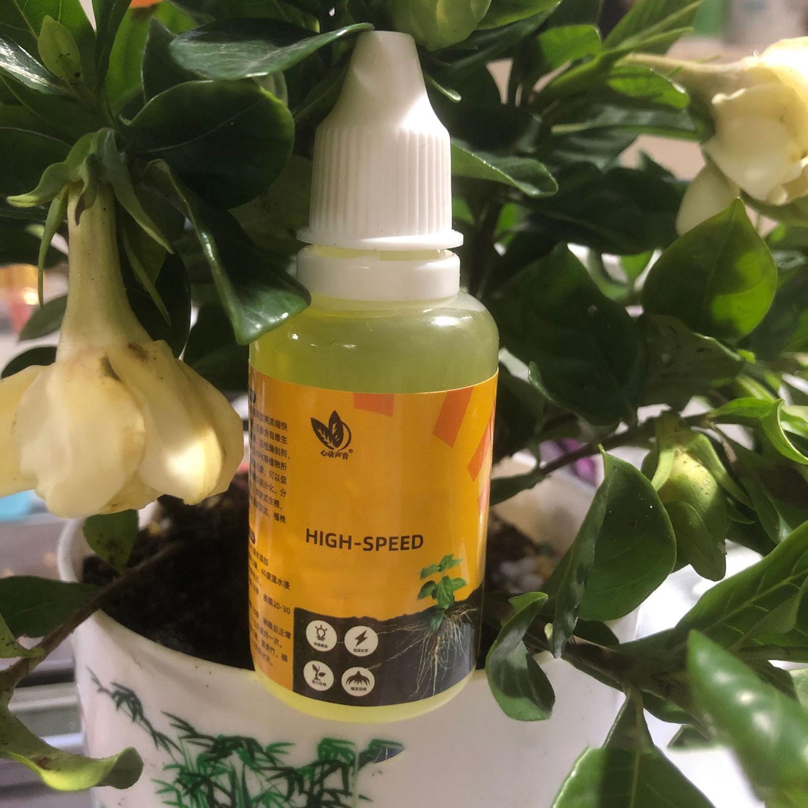 50ml 식물 뿌리 자극제 액상 식물 뿌리 강화제 액상 - Root Stimulator Liquid 리뷰 및 가격