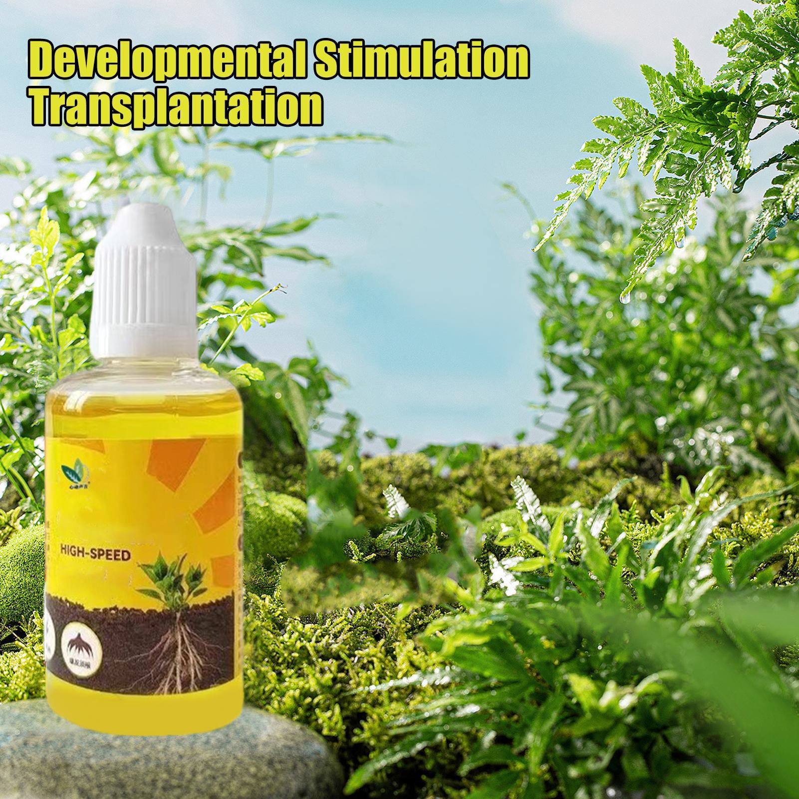 빠른 발아와 개화 촉진을 위한 식물 영양액 보충제 정원 - Root Stimulator Liquid 리뷰 및 가격